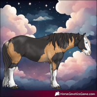 Horse Color:Palomino Splash  and Smoky Black Splash 