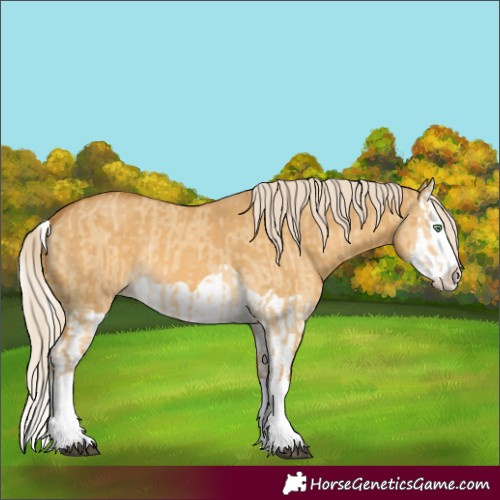 Horse Color:Palomino Dun Splash and Palomino Dun Splash