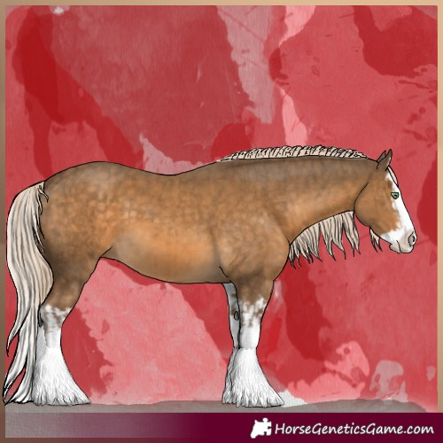Horse Color:Chocolate Palomino Splash  and Chocolate Palomino Splash 