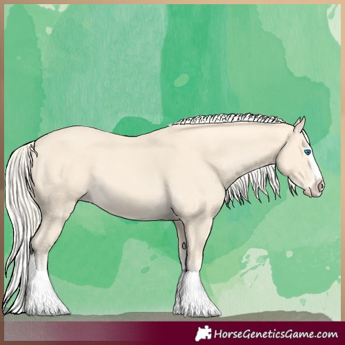 Horse Color:Cremello Splash  and Cremello Splash 