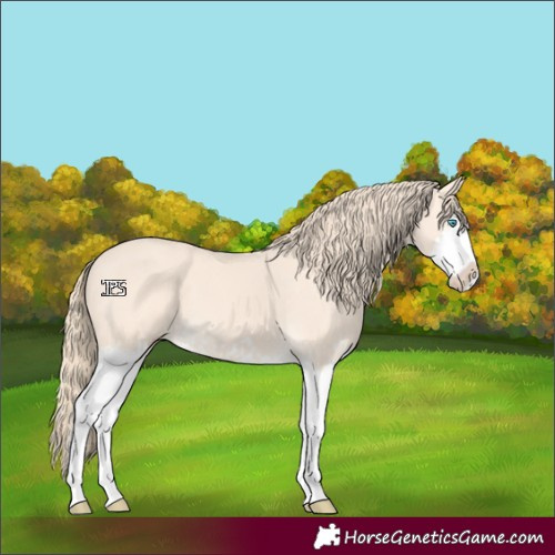 Horse Color:Perlino Splash  and Perlino Splash 