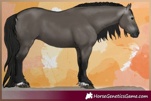 Horse Color:Gray Grullo 