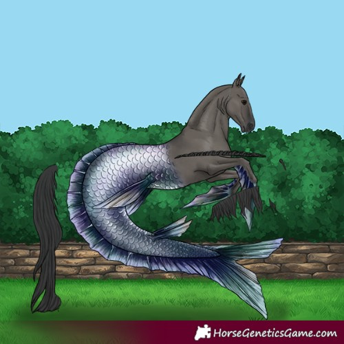 Horse Color:Grullo Rabicano 