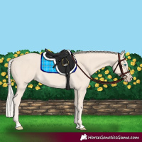 Horse Color:Cremello 
