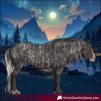 Horse Color:Silver Smoky Blue Roan and Smoky Black Splash Rabicano
