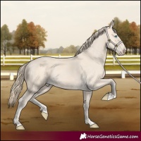 Horse Color:Perlino 