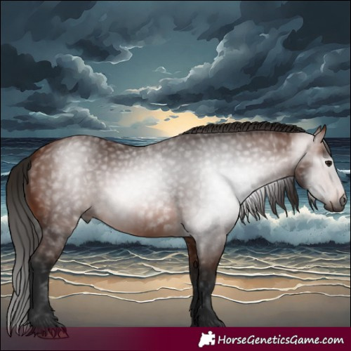 Horse Color:Gray Bay 