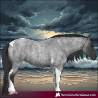 Horse Color:Blue Roan Tobiano