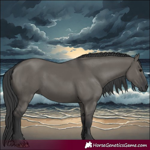 Horse Color:Grullo