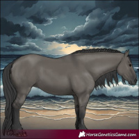 Horse Color:Grullo 