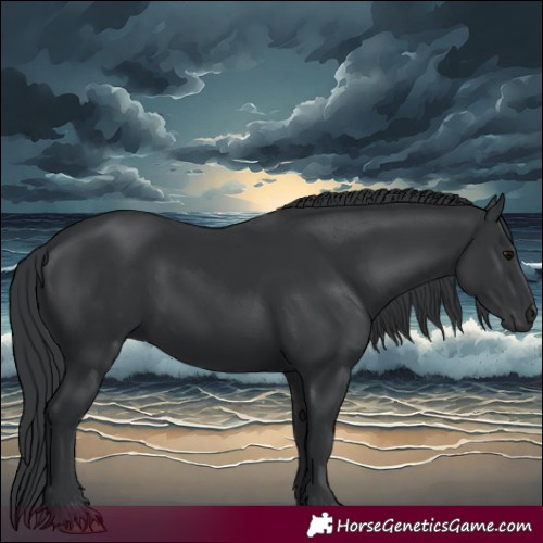 Horse Color:Black 