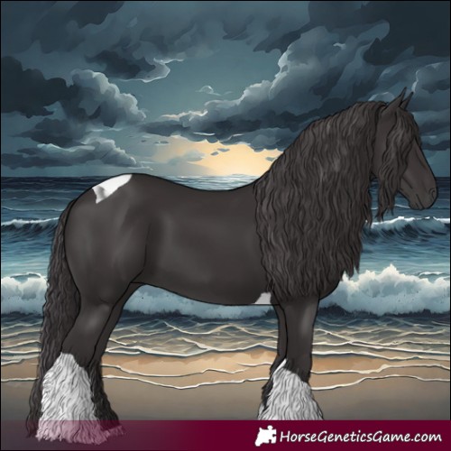 Horse Color:Smoky Black Tobiano 