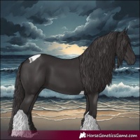 Horse Color:Smoky Black Tobiano 