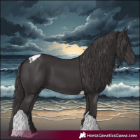 Horse Color:Smoky Black Tobiano 