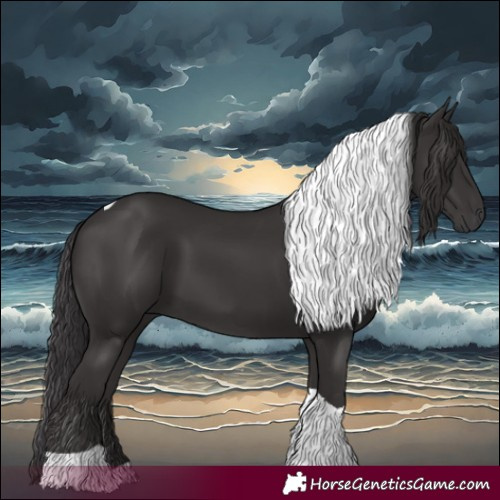 Horse Color:Smoky Black Tobiano 