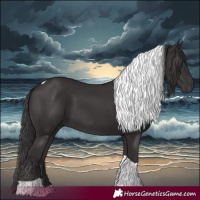 Horse Color:Smoky Black Tobiano