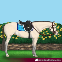 Horse Color:Amber Cream Champagne