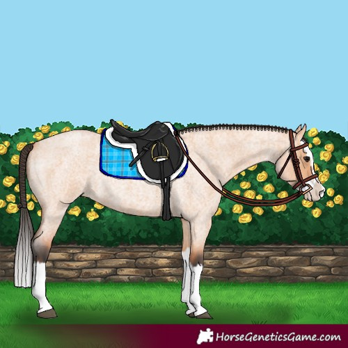 Horse Color:Bay Roan Dun Splash 