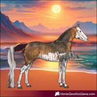 Horse Color:Bay Splash  and Silver Buckskin Splash 