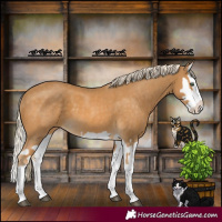 Horse Color:Palomino Splash  and Palomino Splash 