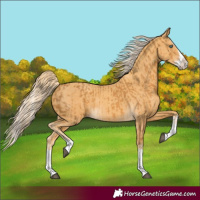 Horse Color:Palomino Splash and Gold Cream Champagne Splash