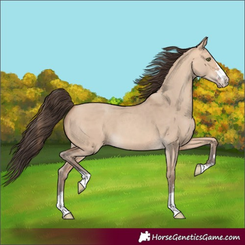 Horse Color:Amber Champagne Dun 