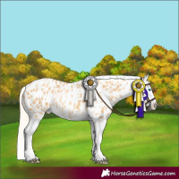 Horse Color:Gold Cream Champagne Splash Appaloosa  and Gold Cream Champagne Splash Appaloosa 