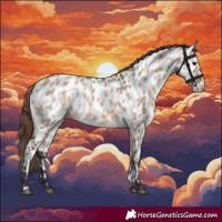 Horse Color:Bay Dun Near Leopard 