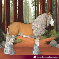 Horse Color:Palomino Splash  and Palomino Splash 