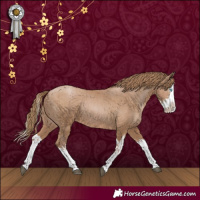 Horse Color:Black Pearl Splash and Black Pearl Splash