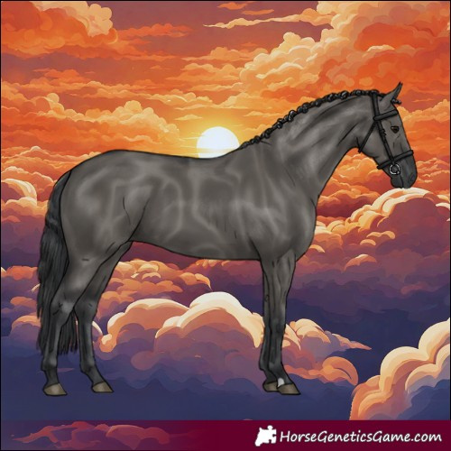 Horse Color:Grullo 