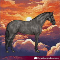 Horse Color:Grullo 