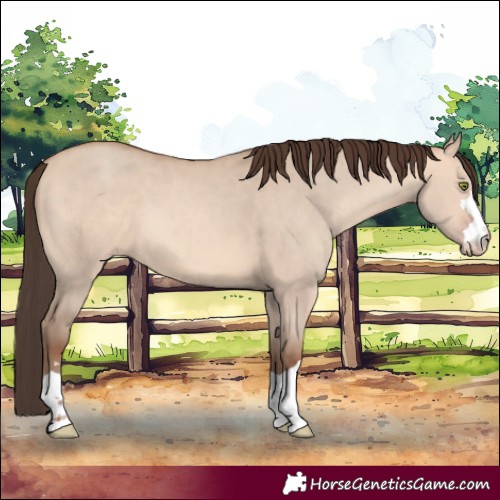 Horse Color:Amber Champagne Dun 