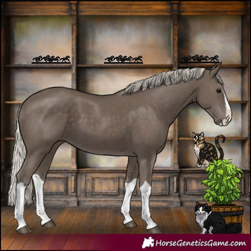 Horse Color:Silver Black Splash 