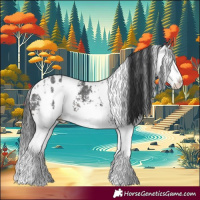 Horse Color:White Spotted Brown Splash  and White Spotted Brown Splash 