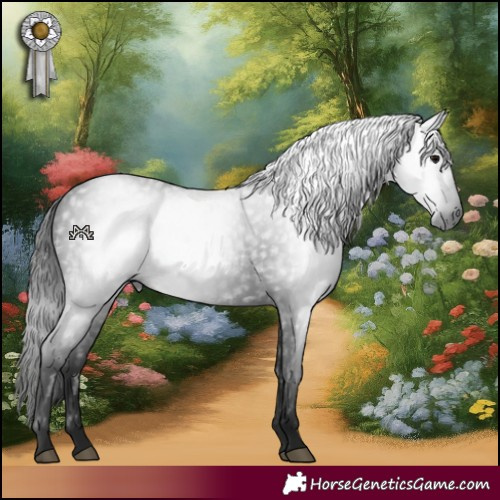 Horse Color:Gray Black 