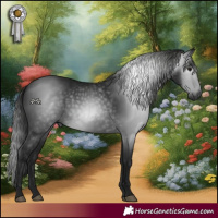Horse Color:Gray Black 