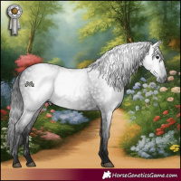 Horse Color:Gray Black 