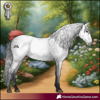 Horse Color:Gray Black 