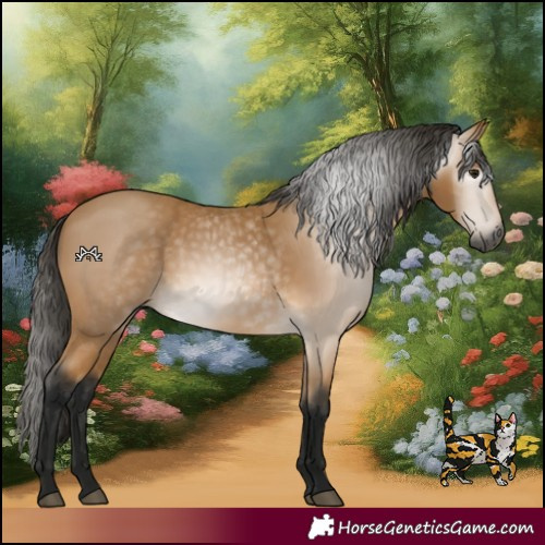 Horse Color:Gray Buckskin 