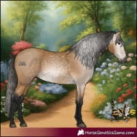 Horse Color:Gray Buckskin 