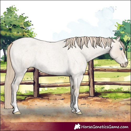 Horse Color:Smoky Creme Roan 