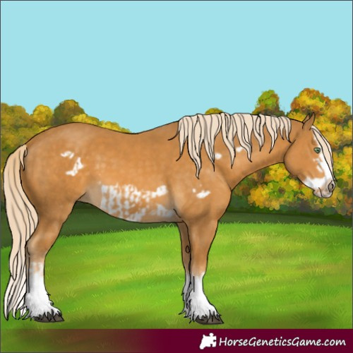 Horse Color:Palomino Splash  and Palomino Splash Frame 