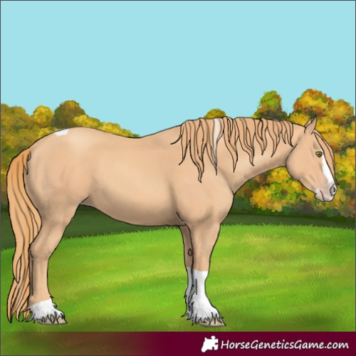 Horse Color:Gold Champagne Splash Tobiano 