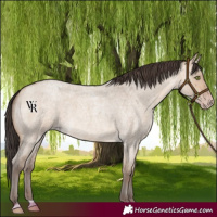 Horse Color:Sable Champagne Roan Dun 