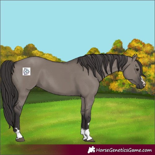 Horse Color:Smoky Grullo 