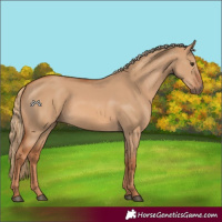 Horse Color:Red Dun 