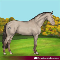 Horse Color:Classic Champagne Dun