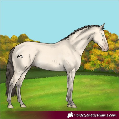 Horse Color:Amber Cream Champagne Dun 