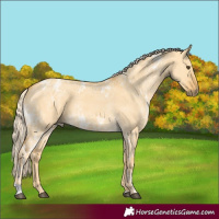 Horse Color:Palomino Ice Dun 